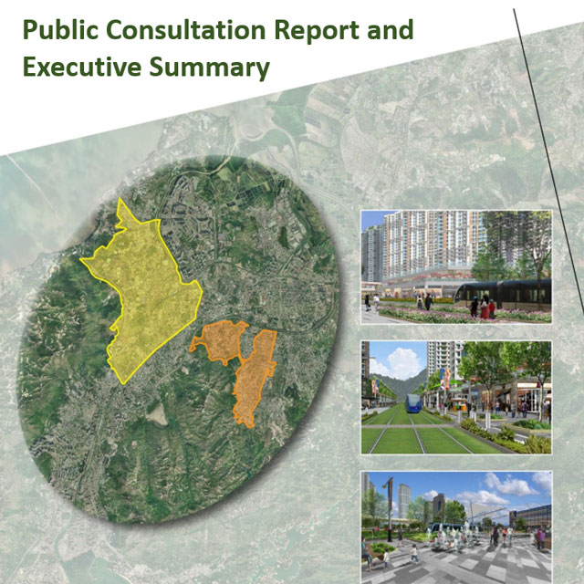 Public Consultation Report and Executive Summary